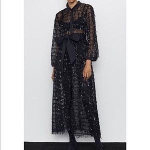 Zara Sequin Midi Dress